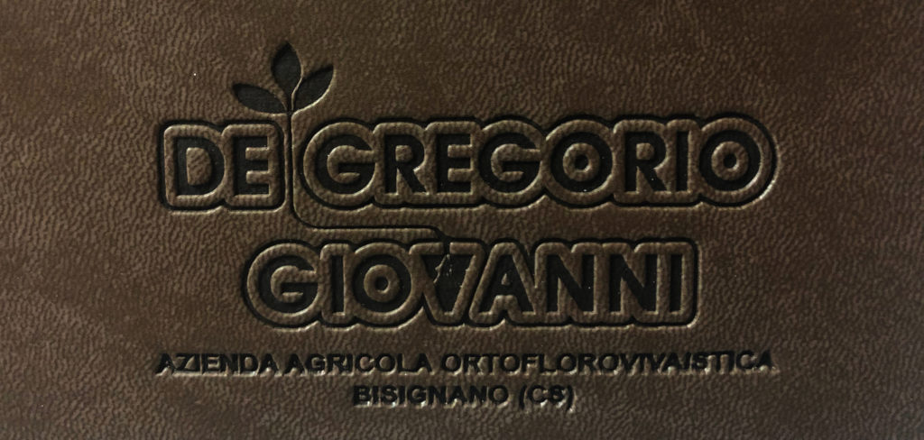 Es. stampa a caldo a secco