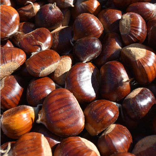 CHESTNUTS