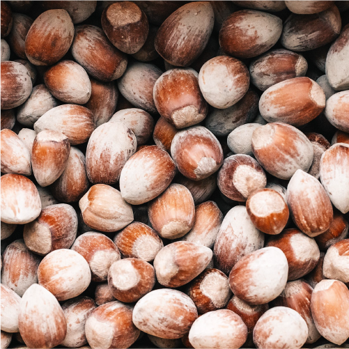 HAZELNUTS