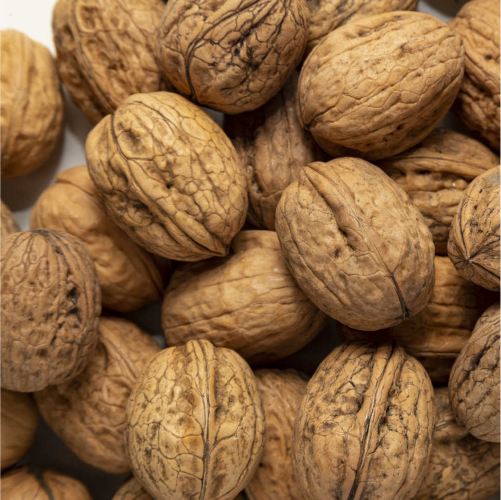NUTS